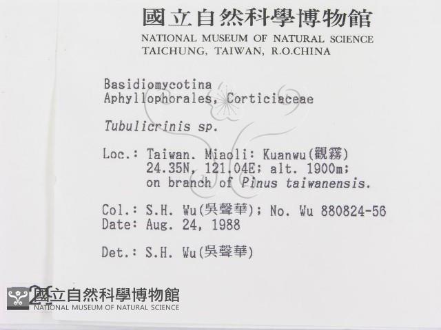 登錄號:F0002987藏品圖，第2張