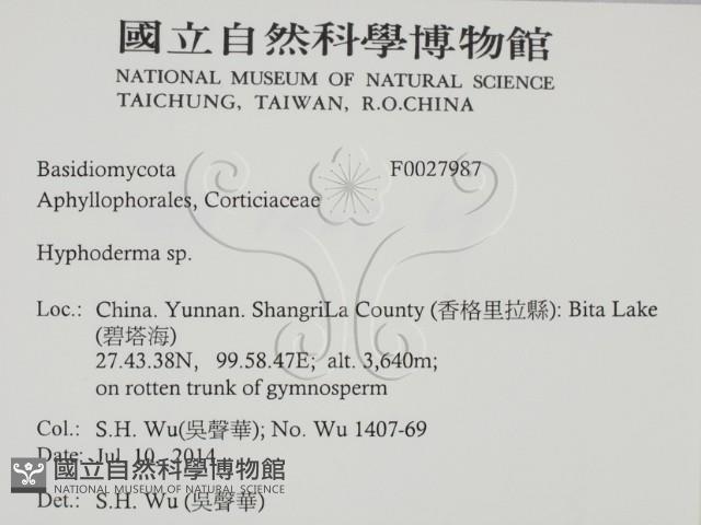 絲皮菌屬藏品圖，第2張