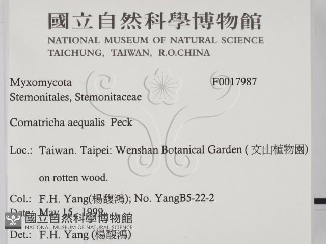 登錄號:F0017987藏品圖，第2張