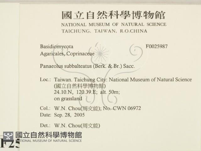 登錄號:F0025987藏品圖，第2張