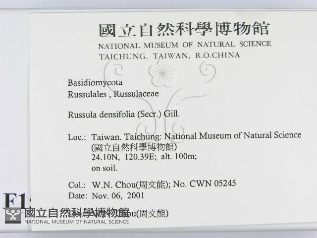 登錄號:F0015987藏品圖，第2張