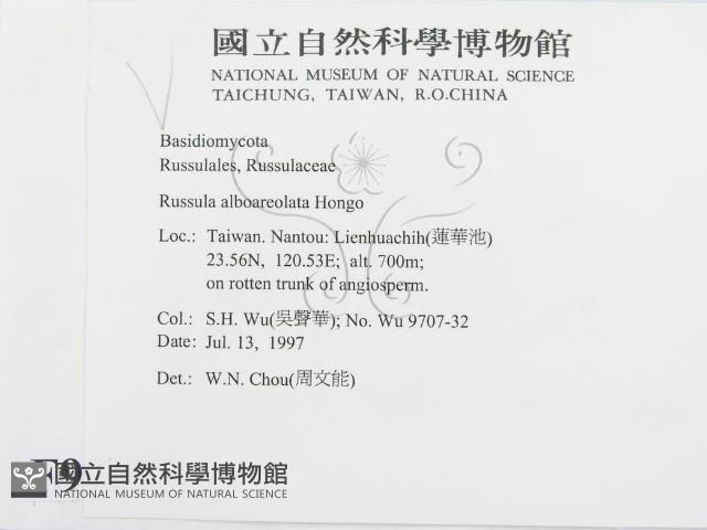 登錄號:F0009987藏品圖，第2張