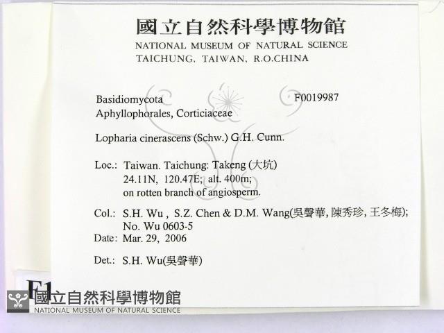 登錄號:F0019987藏品圖，第2張