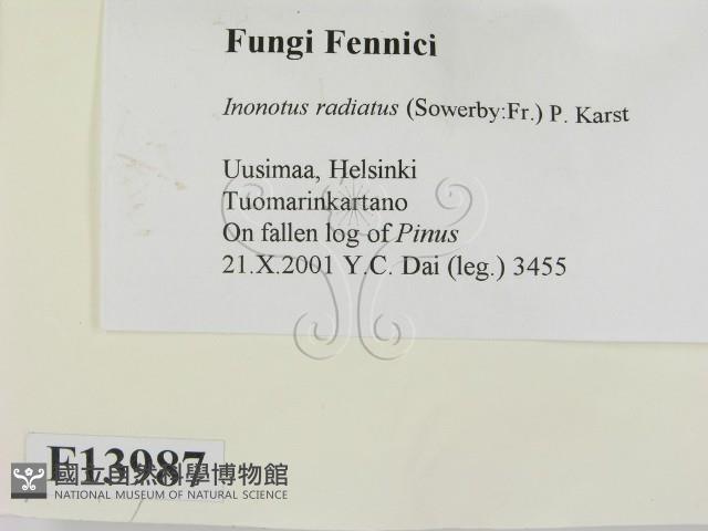 登錄號:F0013987藏品圖，第2張
