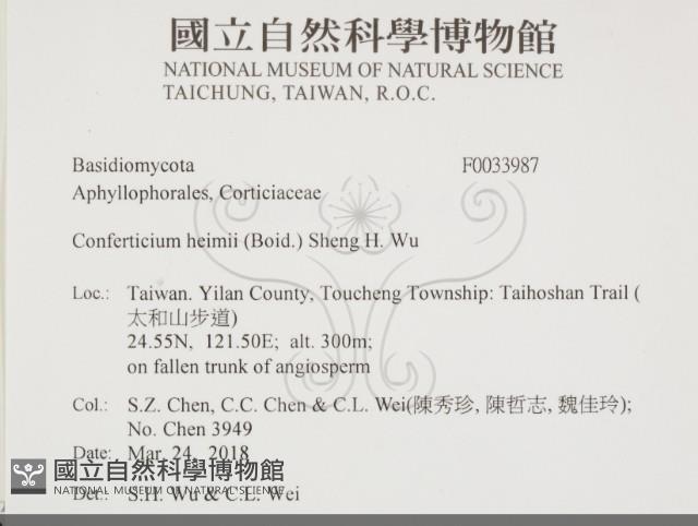 登錄號:F0033987藏品圖，第2張