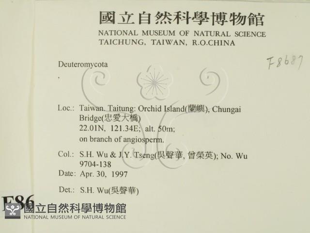 登錄號:F0008687藏品圖，第2張