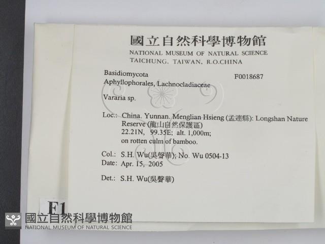 登錄號:F0018687藏品圖，第2張