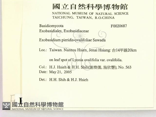 登錄號:F0020687藏品圖，第2張