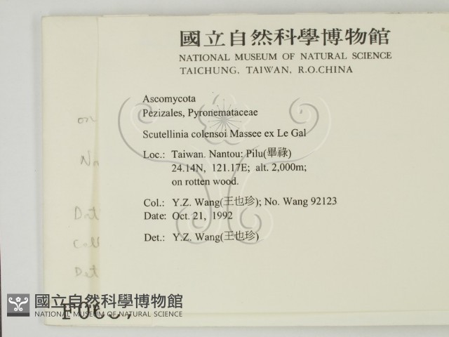 登錄號:F0000687藏品圖，第2張