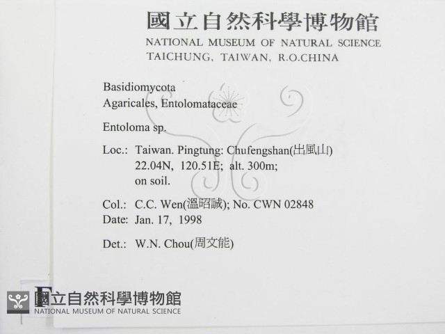 粉褶菌屬藏品圖，第2張
