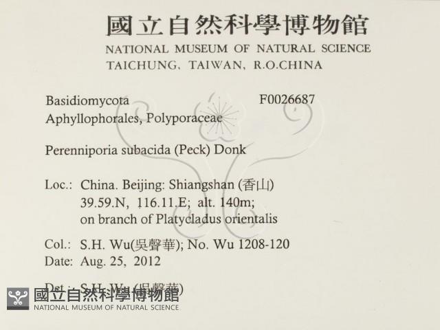 登錄號:F0026687藏品圖，第2張