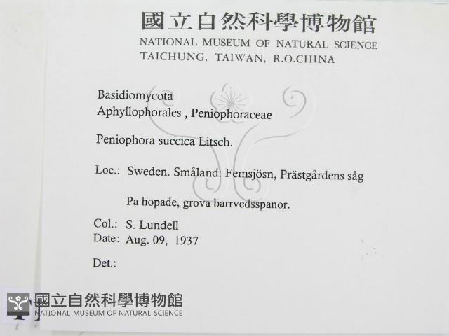登錄號:F0016687藏品圖，第2張