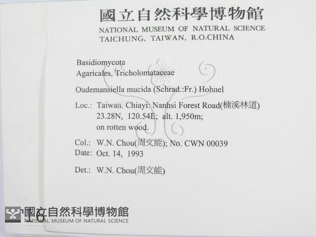 登錄號:F0001687藏品圖，第2張