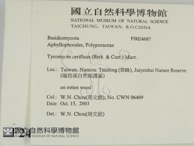 登錄號:F0024687藏品圖，第2張