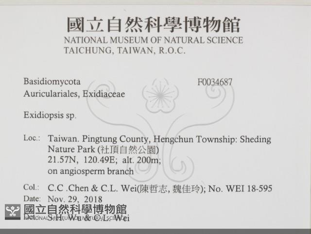 登錄號:F0034687藏品圖，第2張