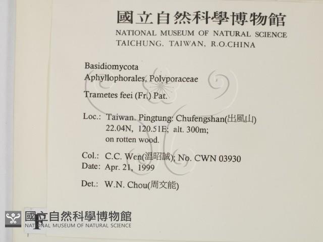 登錄號:F0012687藏品圖，第2張