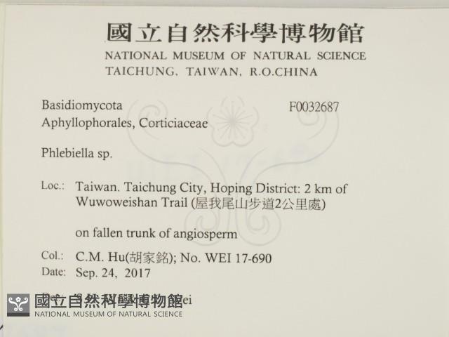 登錄號:F0032687藏品圖，第2張