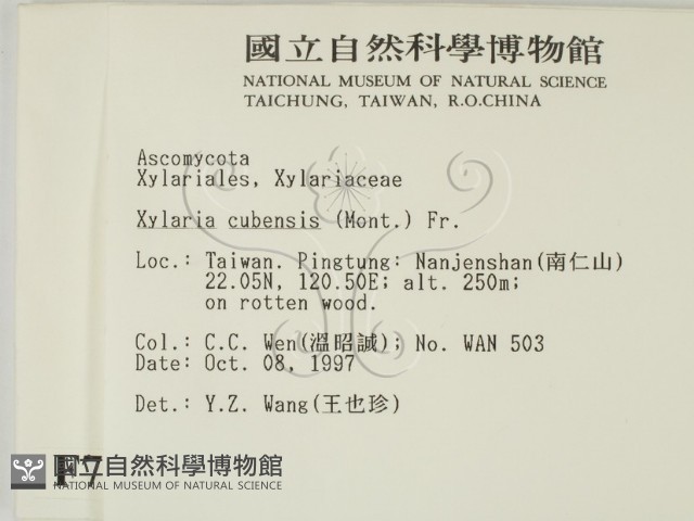 登錄號:F0007687藏品圖，第2張
