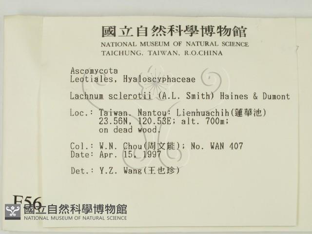 登錄號:F0005687藏品圖，第2張