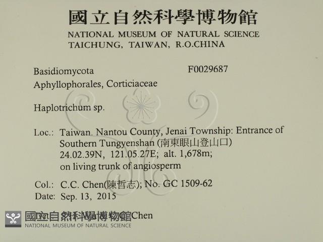 登錄號:F0029687藏品圖，第2張