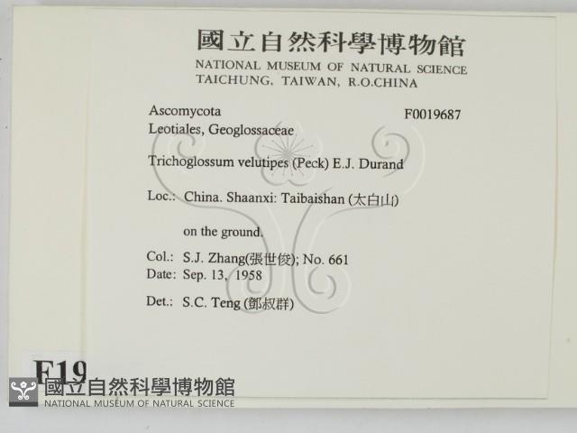 登錄號:F0019687藏品圖，第2張