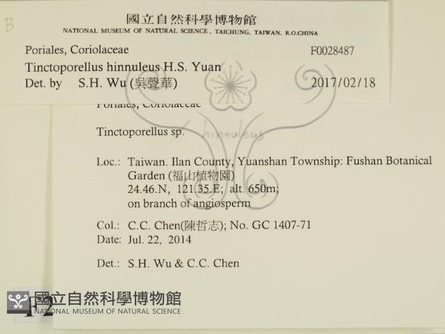 登錄號:F0028487藏品圖，第2張