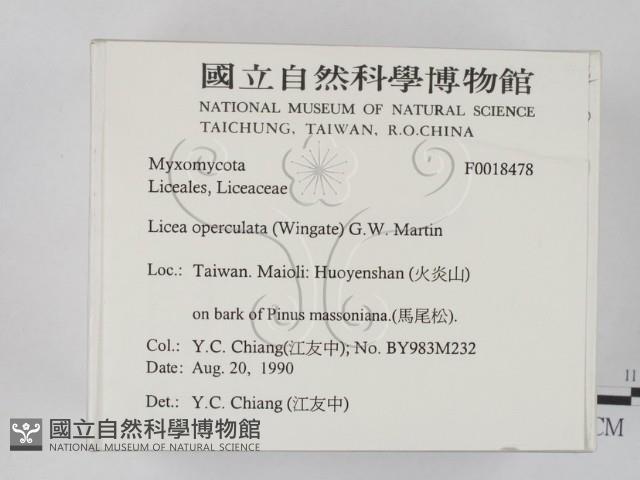 登錄號:F0018487藏品圖，第2張