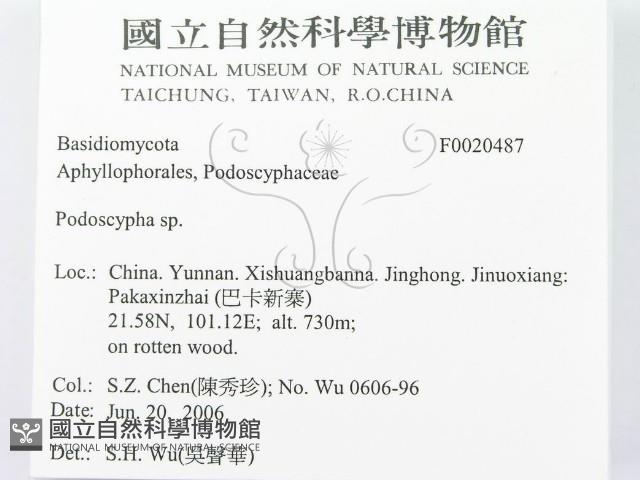 登錄號:F0020487藏品圖，第2張