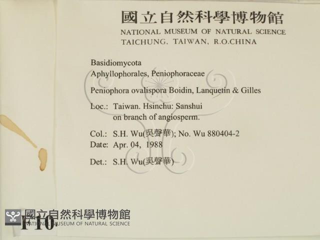 登錄號:F0010487藏品圖，第2張