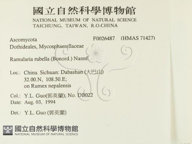 登錄號:F0026487藏品圖，第2張