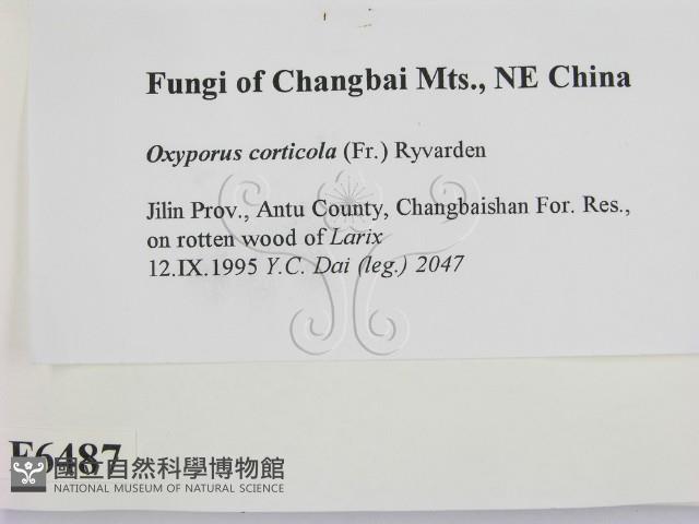 登錄號:F0006487藏品圖，第2張