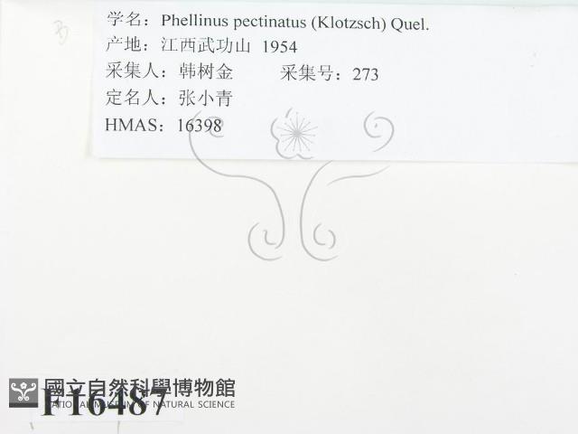 登錄號:F0016487藏品圖，第2張