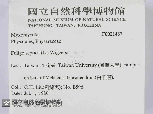 登錄號:F0021487藏品圖，第2張