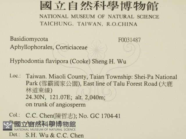 登錄號:F0031487藏品圖，第2張