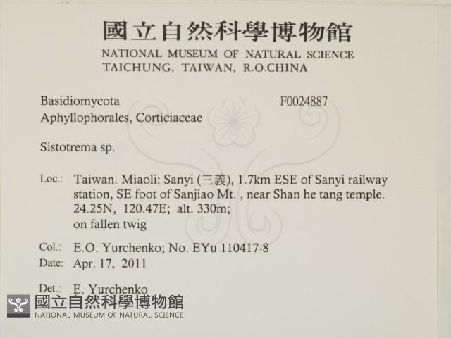 登錄號:F0024487藏品圖，第2張