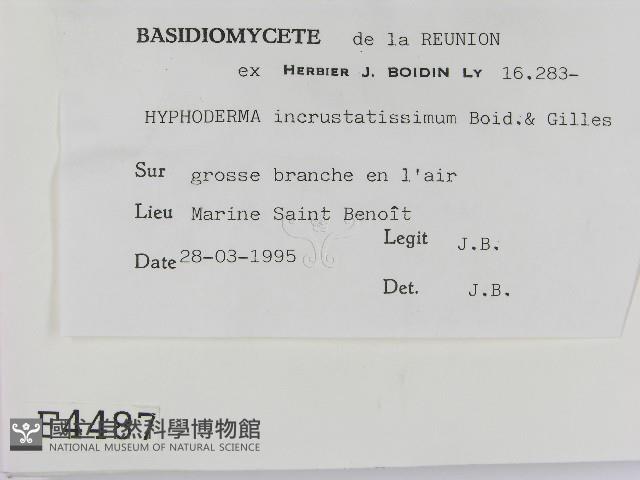 登錄號:F0004487藏品圖，第2張