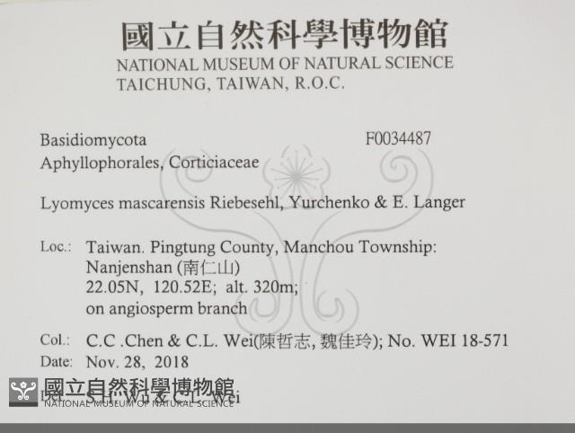 登錄號:F0034487藏品圖，第2張