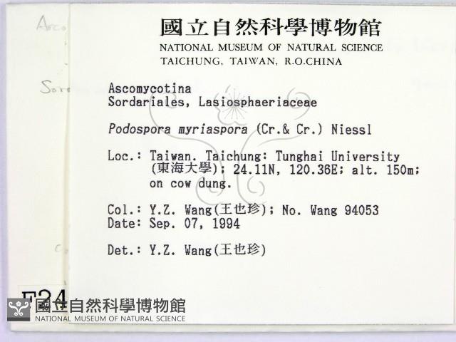 登錄號:F0002487藏品圖，第2張