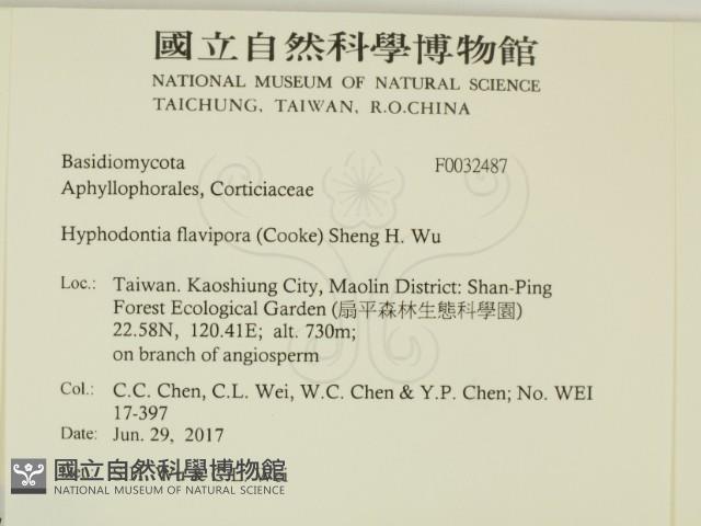 登錄號:F0032487藏品圖，第2張