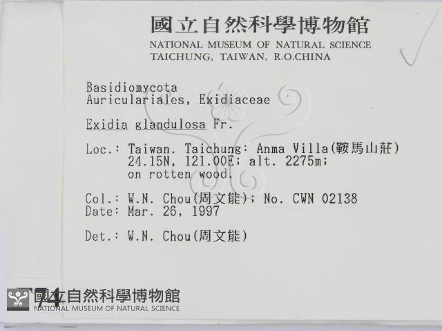 登錄號:F0007487藏品圖，第2張