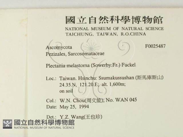 登錄號:F0025487藏品圖，第2張