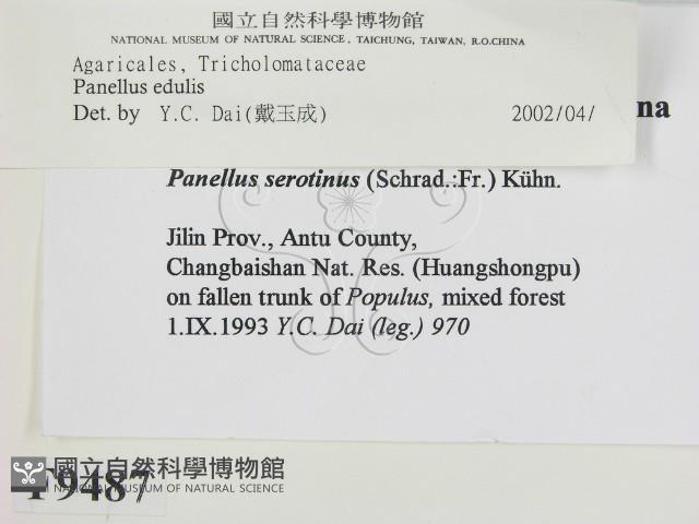 登錄號:F0009487藏品圖，第2張