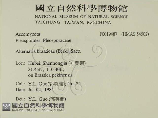 登錄號:F0019487藏品圖，第2張