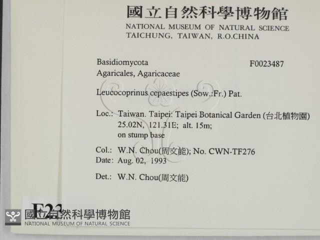 登錄號:F0023487藏品圖，第2張