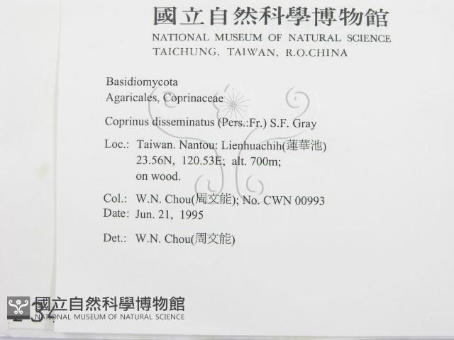 登錄號:F0003487藏品圖，第2張