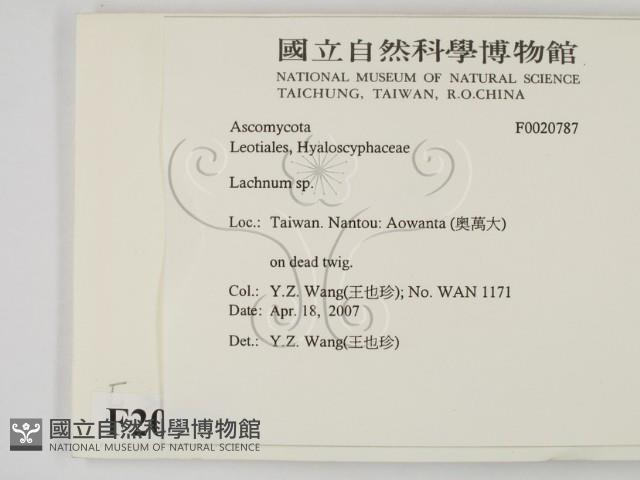 登錄號:F0020787藏品圖，第2張