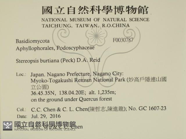 登錄號:F0030787藏品圖，第2張