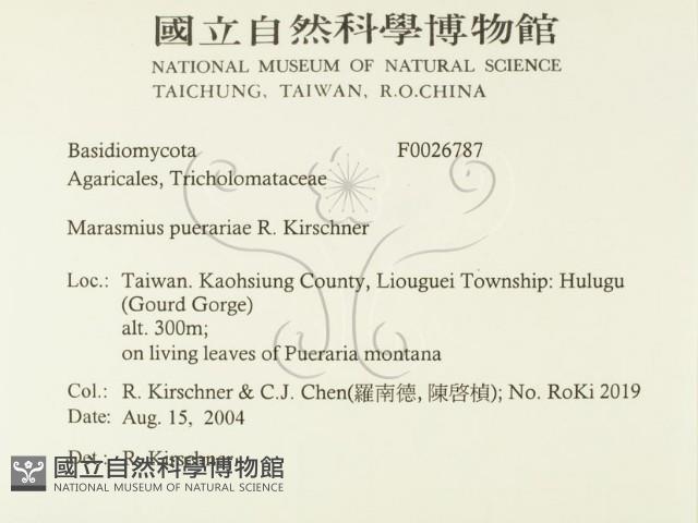 登錄號:F0026787藏品圖，第2張