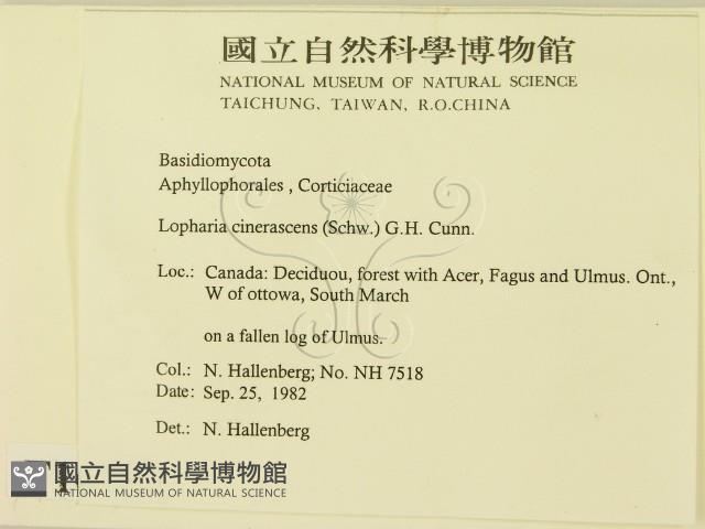 登錄號:F0016787藏品圖，第2張