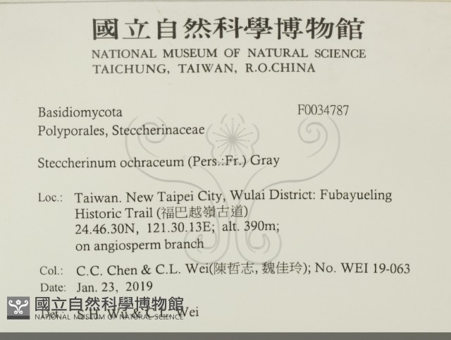 登錄號:F0034787藏品圖，第2張